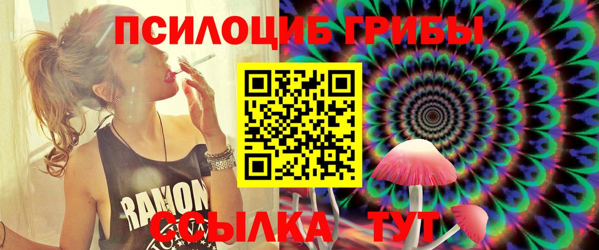 Ковров  Галлюциногенные грибы MAGIC MUSHROOMS  Вход с VPN 